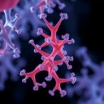 insights-on-lactobacillus-crispatus:-antimicrobial-and-cardiometabolic-benefits