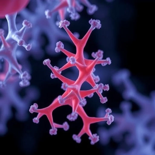 insights-on-lactobacillus-crispatus:-antimicrobial-and-cardiometabolic-benefits