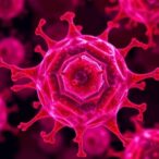 mitophagy’s-role-in-disease-and-treatment-advances