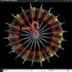 unveiling-maclura-tricuspidata’s-complete-mitochondrial-genome
