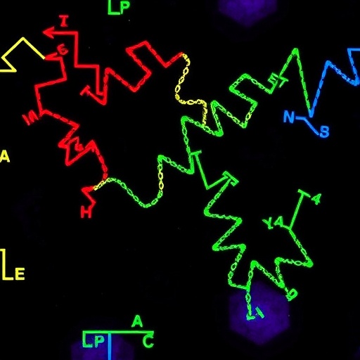 glcnacylation-enhances-h2bk120-monoubiquitylation-process