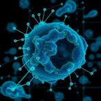 unveiling-predictive-cancer-therapy-biomarkers-via-computation