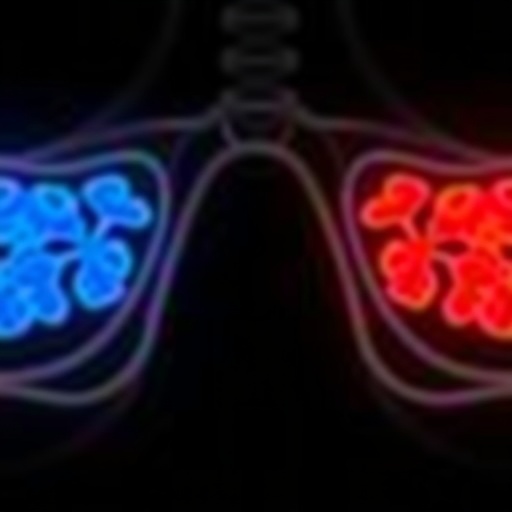 cbx2-enhances-ovarian-cancer-resistance-to-cisplatin