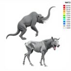 comparative-analysis-of-human-nat2-across-species