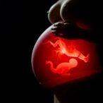 mercury-exposure-during-pregnancy:-impact-on-birth-weight