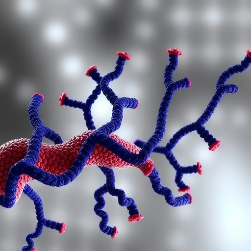 tlr4-fuels-escc-via-inflammation-and-zinc-regulation