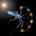 chromatin-dynamics-in-plasmodium-falciparum-life-cycle