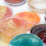 basilea-pens-collab-with-us-biotech-to-develop-new-antifungal