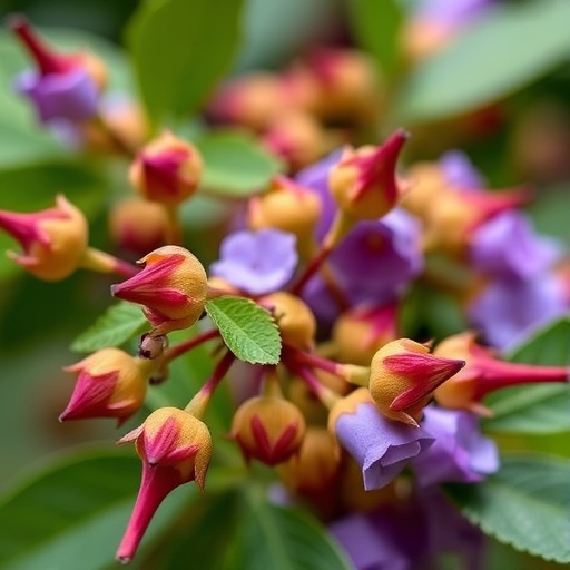 flavonoids-influence-escitalopram-metabolism:-study-insights