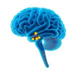 predicting-parkinson’s-impulse-disorders-via-machine-learning