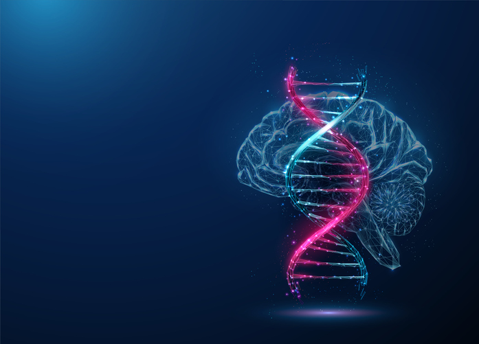 novel-gene-therapy-approach-targets-pain-centers-in-the-brain