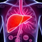 tislelizumab-lenvatinib-shows-promise-for-high-risk-liver-cancer