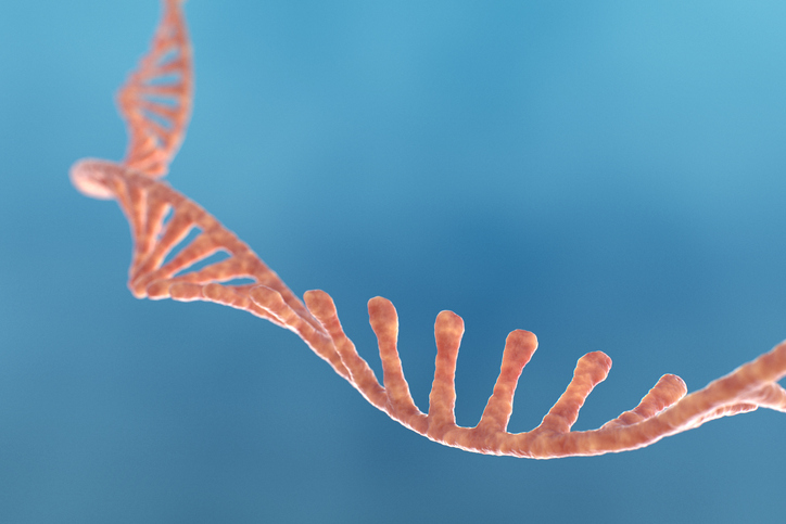 cas12a3-crispr-system-targets-trna-without-destroying-host-cell
