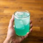 biodegradable-electrolyte-from-sugar-palm-fiber-explored