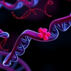 epigenetic-aging-links-reproductive-history,-lifespan