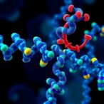 novel-covalent-ligands-enhance-mettl5-activity-allosterically