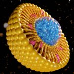 level-up-nanomedicine-development-with-high-throughput-formulation-screening