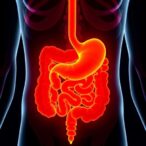 noncanonical-trpm4-controls-intestinal-fluid-balance