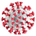 comparing-whole-genome-sequencing-methods-for-capripox-viruses