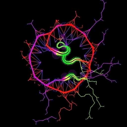 r-loops-drive-rnapii-reprogramming-in-early-development