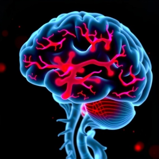 “ccl5/rantes:-key-to-inflammation-post-mild-tbi”