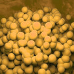 cellares-and-city-of-hope-sign-deal-to-automate-solid-tumor-car-t-cell-therapy-manufacturing