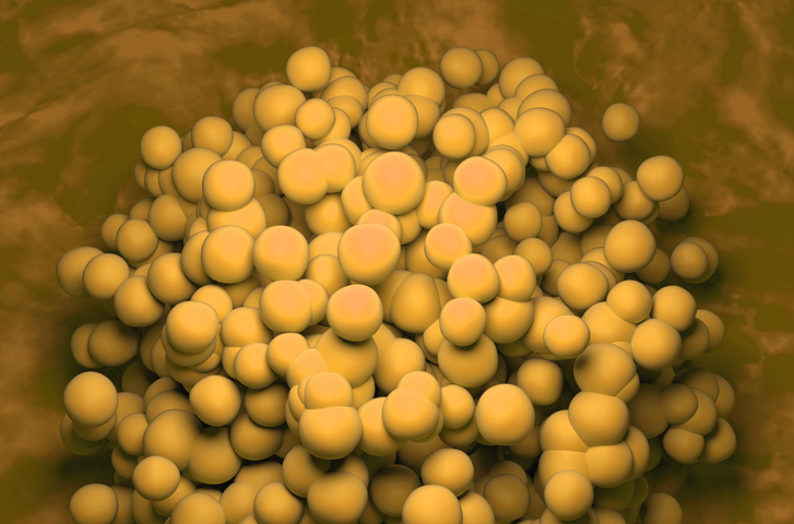 cellares-and-city-of-hope-sign-deal-to-automate-solid-tumor-car-t-cell-therapy-manufacturing