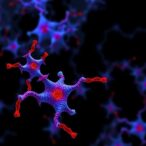 targeted-inhibitors-reveal-insights-into-atac-complex