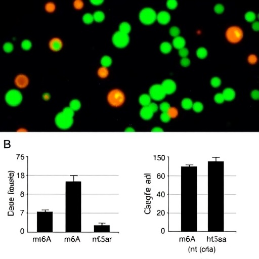 m6a-methylation-regulates-antiviral-response-in-celiac