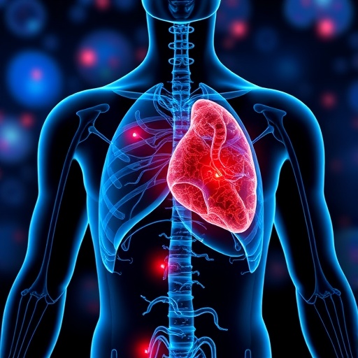 brown-fat-exosomes-restore-endothelial-function,-reduce-hypertension