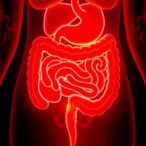 insulin-resistance-shapes-gut-and-incretin-changes-post-bariatric-surgery