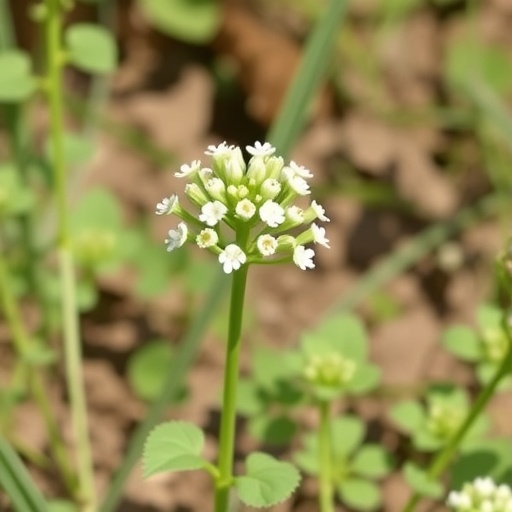 lucerastat-shows-promise-in-fabry-disease-trials