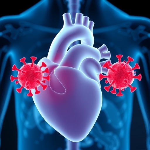 impact-of-parvovirus-b19-on-childhood-myocarditis