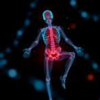 new-mitochondrial-inhibitor-reduces-diabetes-related-bone-loss