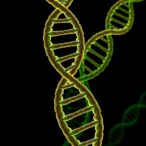 trypanosoma-cruzi’s-genome-unveils-32-chromosomes,-3-compartments