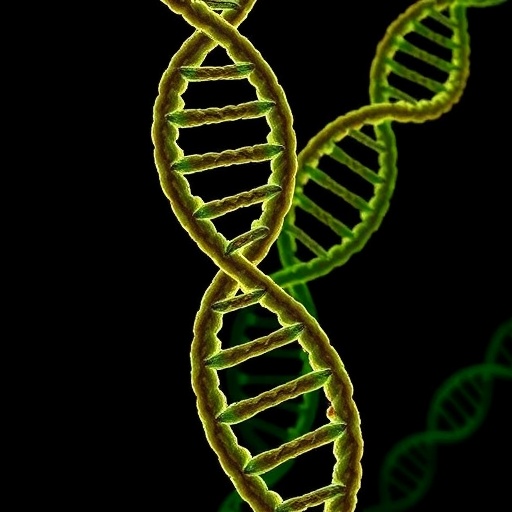 trypanosoma-cruzi’s-genome-unveils-32-chromosomes,-3-compartments
