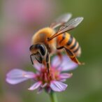 retroelement-expansions-drive-stingless-bee-genome-evolution