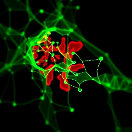 dual-nanocarriers-target-smad3-and-runx2-in-aortic-valve-disease