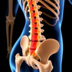 systemic-treatments-affect-bone-quality-in-metastatic-model