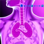 adaphostin-triggers-oxidative-stress-in-esophageal-cancer