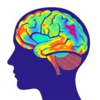 fine-mapping-reveals-181-migraine-genetic-variant-sets