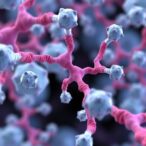 cystatin-c:-a-key-biomarker-for-diabetic-complications