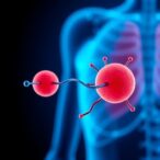 prior-hypoglycemia-boosts-somatostatin,-weakens-glucagon