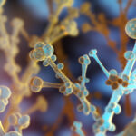 digital-sherlock:-rapid-detection-and-resistance-profiling-of-candida-auris