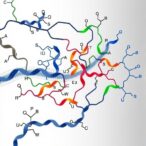 ligand-paths-shape-cellular-gpcr-signaling
