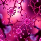 microbiota-drives-t-cell-plasticity,-tumor-control