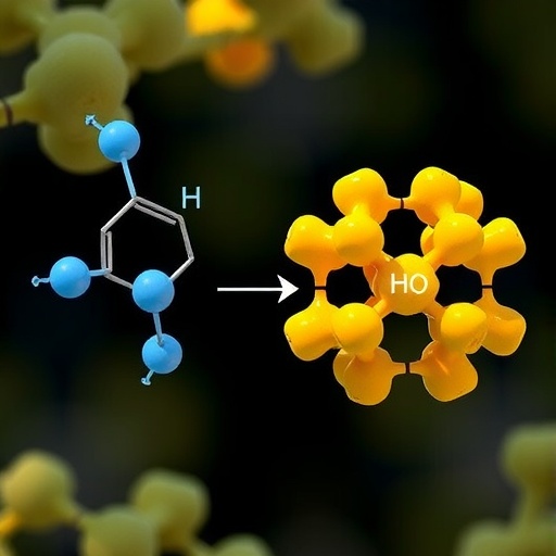 selective-glcnac-to-galnac-epimerization-via-kinetic-control