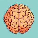 how-maternal-bmi-and-depression-shape-newborn-brains