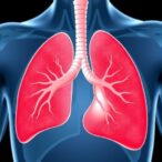 tirzepatide-resolves-mash-without-worsening-fibrosis