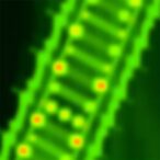 revealing-rna-polymerase-ii-start-sites-via-csrna-seq